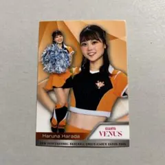 DANCING HEROINE『VENUS 読売ジャイアンツ 原田遥南』