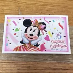 東京ディズニーランド35周年パスポート　紙チケット　ディズニー　ミニー
