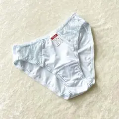 Item thumbnail for item f115034a-6d56-4182-b306-8c3bcac327f6