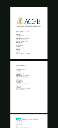 2026年最新】公認不正検査士の人気アイテム - メルカリ