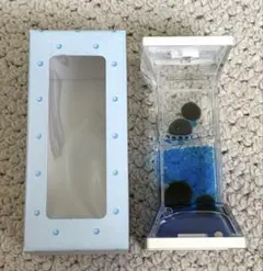 水時計　まりも