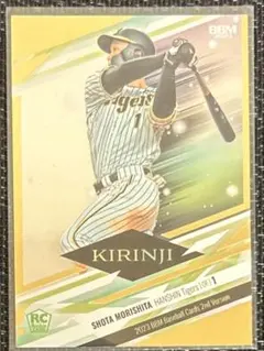 エコ様 リクエスト 2点 まとめ商品