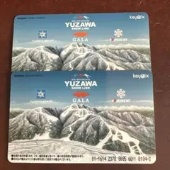 2026年最新】gala湯沢リフト券の人気アイテム - メルカリ