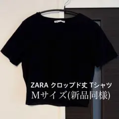ZARA 半袖クロップド丈 Tシャツ Mサイズのサムネイル