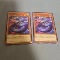 遊戯王 夜刀蛇巳 2枚セット