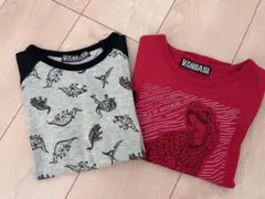 恐竜柄 長袖Tシャツ 120センチ 2枚セット