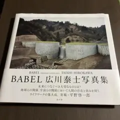 BABEL ORDINARY LANDSCAPES