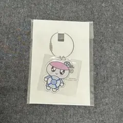 SEVENTEEN FOLLOW AGAIN ボンボンイ 横浜 アクキーのサムネイル