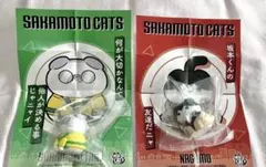 サカモトデイズ MEGACAT PROJECT 坂本太郎 南雲与一