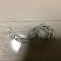 Apple純正　有線イヤフォン　EarPods Lightning ライトニング