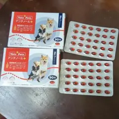 Item thumbnail for item 1d311505-33ba-4663-bc70-3e00696344da