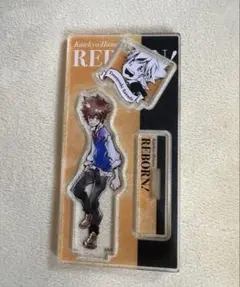 家庭教師ヒットマンREBORN！ 沢田綱吉　アクリルフィギュア＆チャーム