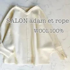 【美品】SALON adam et rope 羊毛 プルオーバー ニット
