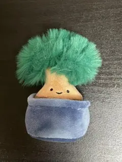 Qualia にっこりーノ 植物のぬいぐるみ ぼんさい・松
