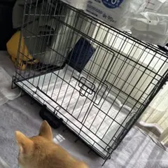 Item thumbnail for item a47395be-af93-4dd5-8582-c1a2a48d6d01