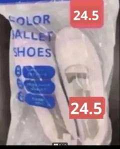上靴　上履き　　　24.5㎝　　スクールシューズ　【新品未使用】