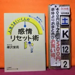 人生うまくいく人の感情リセット術