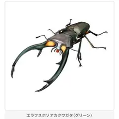 いきもの大図鑑アドバンス クワガタ02 エラフスホソアカクワガタ（グリーン）
