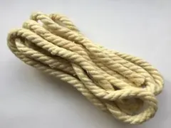 Item thumbnail for item 3619abb5-9bd4-49e0-bb82-241f97d91024