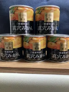 国産缶詰 愛媛県産 真穴みかん K&Kにっぽんの果実 5缶セットのサムネイル