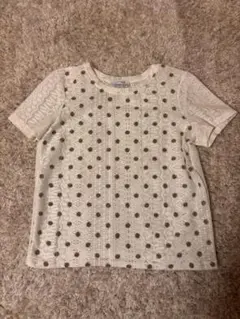 ZARA 半袖ドットレースシャツ M