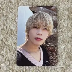 末澤誠也 トレカ