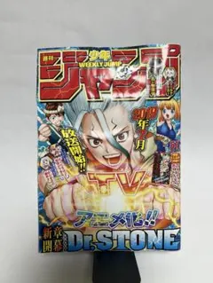 【希少】週刊少年ジャンプ 2018年51号 Dr.STONE巻頭カラー 付録付き