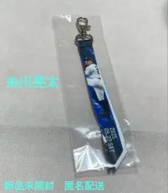 西武ライオンズ 応援グッズ