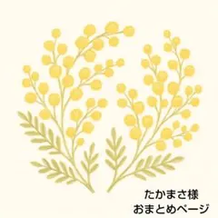 たかまさ様 リクエスト 2点 まとめ商品
