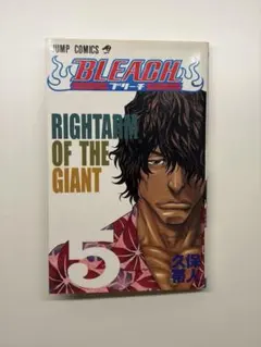 BLEACH 全巻初版 2026年最新】BLEACH 初版の人気アイテム - メルカリ