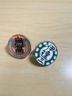 2025年最新】ハイキュー ピンバッジ 烏野の人気アイテム - メルカリ