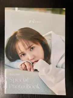 Item thumbnail for item d77b2033-bc93-4903-a942-0c20c6955fbc