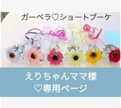 えりちゃんママ様専用