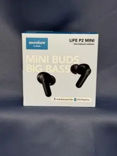 Anker Soundcore Life P2 Mini ジョージアのサムネイル