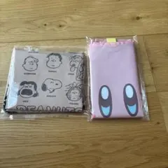 Item thumbnail for item 4dc5500c-df0d-4697-8c92-ffe201c640f0