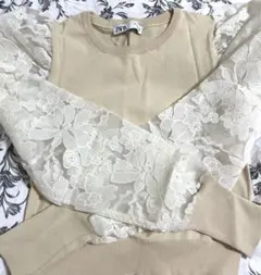 ZARA シースルー花柄トップス