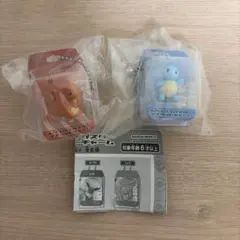 ポケモン ブリスターマスコットチャーム 2点セットヒトカゲ、ゼニガメ