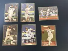 プロ野球チップスカード【千葉ロッテマリーンズ】