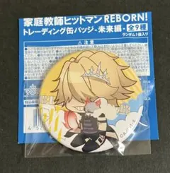 家庭教師ヒットマンリボーン REBORN 缶バッジ 未来編 ベルフェゴール