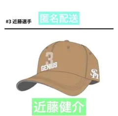 Item thumbnail for item f85d26a2-2c9b-4ae3-8c33-140fa1afda20