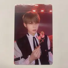 darkblood ソヌ トレカ