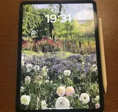 iPad Pro 第2世代　128ギガバイト