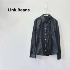 Link Beans/長袖/レギュラカラーシャツ/ボタンダウン/ピンタック/黒