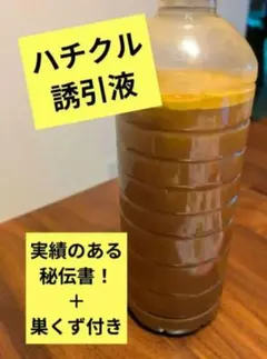 Item thumbnail for item 26cca7b4-03cc-42b7-9a38-6aa27febbbae