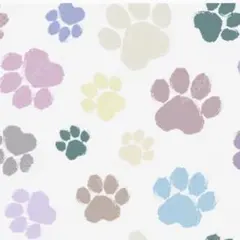 プーさん　様(=^x^=)専用U^ェ^U