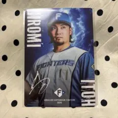 北海道日本ハムファイターズ 伊藤大海 推しくじ ブロマイド
