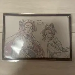 カナエ、しのぶ　鬼滅の刃 ポストカード