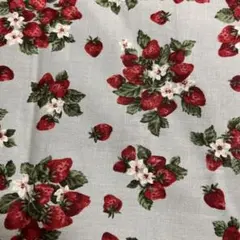 ピンクハウス 生地