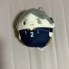 ハイキュー 菅原孝支 ふわコロりん