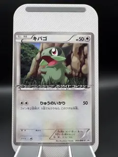2026年最新】pokeMoN go plus + カビゴンの人気アイテム - メルカリ